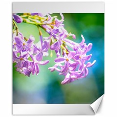 Beautiful Pink Lilac Flowers Canvas 16  X 20   by FunnyCow