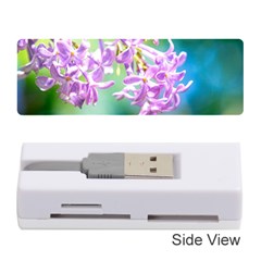 Beautiful Pink Lilac Flowers Memory Card Reader (stick) by FunnyCow