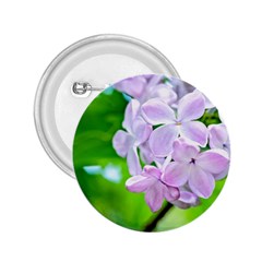 Elegant Pink Lilacs In Spring 2 25  Buttons by FunnyCow