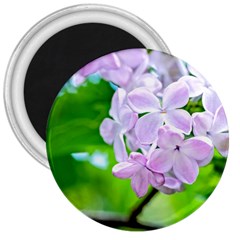 Elegant Pink Lilacs In Spring 3  Magnets by FunnyCow