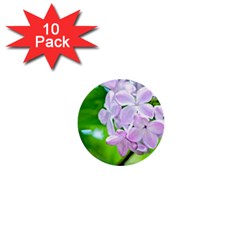 Elegant Pink Lilacs In Spring 1  Mini Buttons (10 Pack)  by FunnyCow