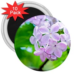 Elegant Pink Lilacs In Spring 3  Magnets (10 Pack)  by FunnyCow