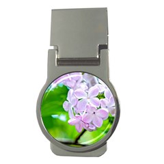 Elegant Pink Lilacs In Spring Money Clips (round)  by FunnyCow