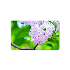 Elegant Pink Lilacs In Spring Magnet (name Card) by FunnyCow