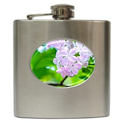 Elegant Pink Lilacs In Spring Hip Flask (6 Oz) by FunnyCow