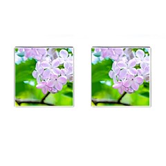 Elegant Pink Lilacs In Spring Cufflinks (square) by FunnyCow