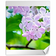 Elegant Pink Lilacs In Spring Canvas 16  X 20   by FunnyCow