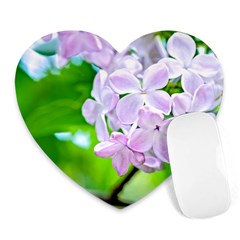 Elegant Pink Lilacs In Spring Heart Mousepads by FunnyCow