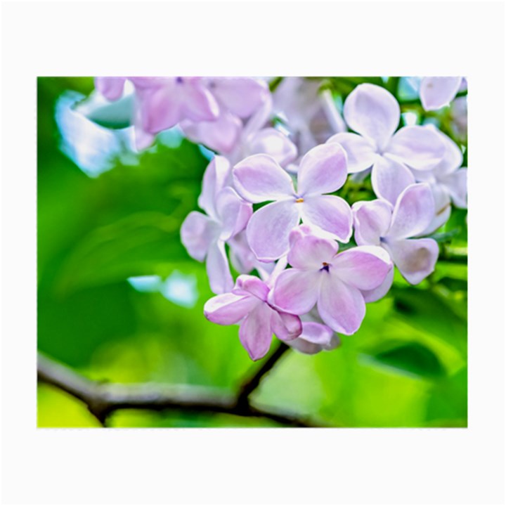 Elegant Pink Lilacs In Spring Small Glasses Cloth (2-Side)