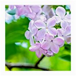 Elegant Pink Lilacs In Spring Medium Glasses Cloth Front