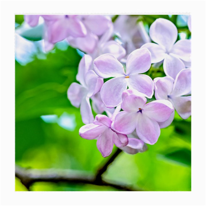 Elegant Pink Lilacs In Spring Medium Glasses Cloth