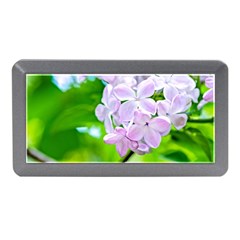 Elegant Pink Lilacs In Spring Memory Card Reader (mini) by FunnyCow