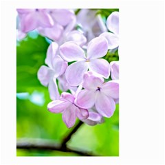 Elegant Pink Lilacs In Spring Small Garden Flag (two Sides) by FunnyCow