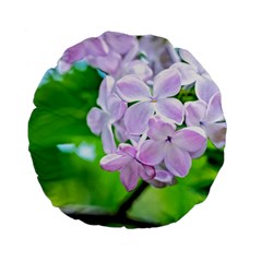 Elegant Pink Lilacs In Spring Standard 15  Premium Flano Round Cushions by FunnyCow