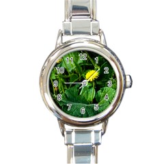 Yellow Dandelion Flowers In Spring Round Italian Charm Watch by FunnyCow