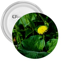 Yellow Dandelion Flowers In Spring 3  Buttons by FunnyCow