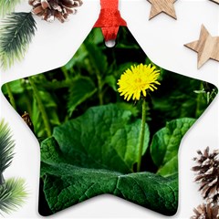 Yellow Dandelion Flowers In Spring Ornament (star) by FunnyCow