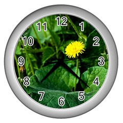 Yellow Dandelion Flowers In Spring Wall Clock (silver) by FunnyCow