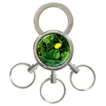 Yellow Dandelion Flowers In Spring 3-Ring Key Chains Front