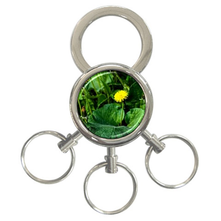 Yellow Dandelion Flowers In Spring 3-Ring Key Chains