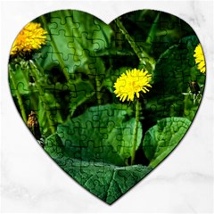 Yellow Dandelion Flowers In Spring Jigsaw Puzzle (heart) by FunnyCow