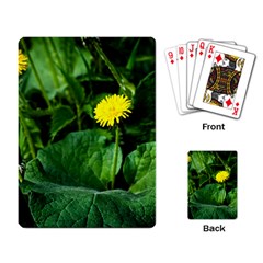 Yellow Dandelion Flowers In Spring Playing Card by FunnyCow