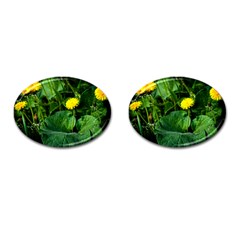 Yellow Dandelion Flowers In Spring Cufflinks (oval) by FunnyCow