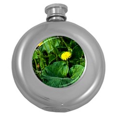 Yellow Dandelion Flowers In Spring Round Hip Flask (5 Oz) by FunnyCow