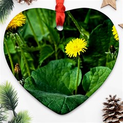 Yellow Dandelion Flowers In Spring Heart Ornament (two Sides) by FunnyCow