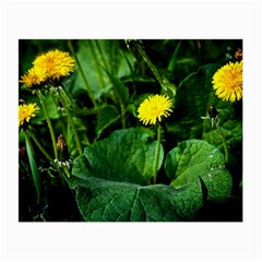 Yellow Dandelion Flowers In Spring Small Glasses Cloth (2-side) by FunnyCow