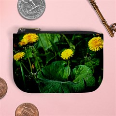 Yellow Dandelion Flowers In Spring Mini Coin Purses by FunnyCow