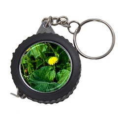 Yellow Dandelion Flowers In Spring Measuring Tape by FunnyCow