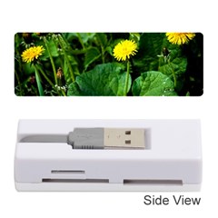 Yellow Dandelion Flowers In Spring Memory Card Reader (stick) by FunnyCow