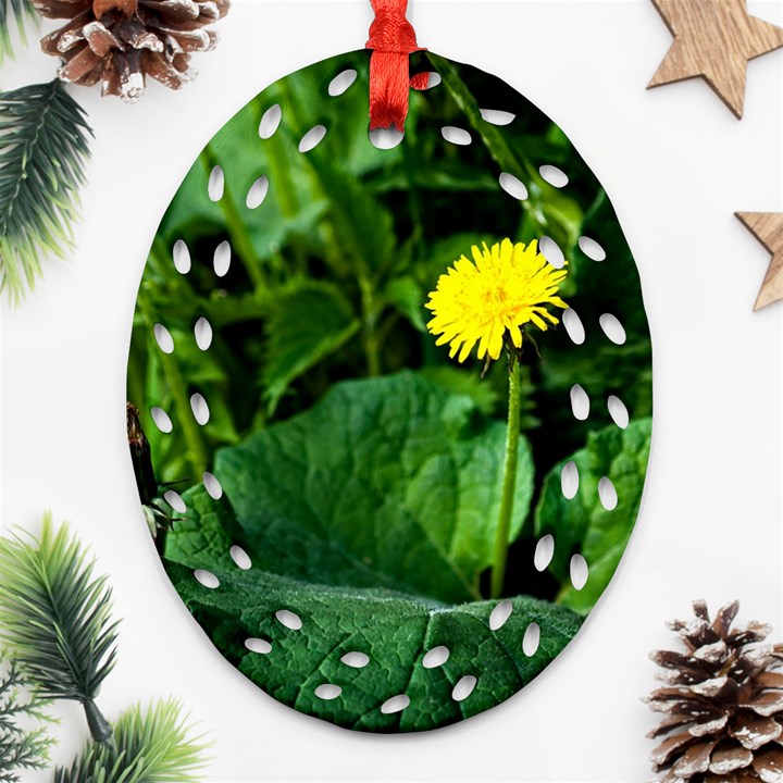 Yellow Dandelion Flowers In Spring Ornament (Oval Filigree)