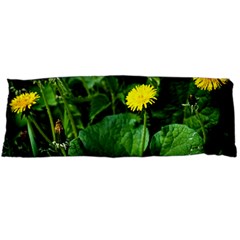 Yellow Dandelion Flowers In Spring Body Pillow Case (dakimakura) by FunnyCow