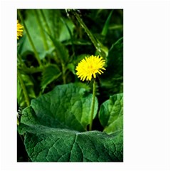 Yellow Dandelion Flowers In Spring Small Garden Flag (two Sides) by FunnyCow