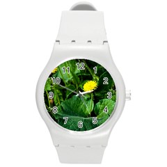 Yellow Dandelion Flowers In Spring Round Plastic Sport Watch (m) by FunnyCow