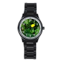 Yellow Dandelion Flowers In Spring Stainless Steel Round Watch by FunnyCow