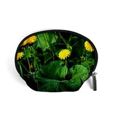 Yellow Dandelion Flowers In Spring Accessory Pouches (small)  by FunnyCow