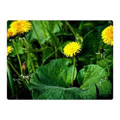 Yellow Dandelion Flowers In Spring Double Sided Flano Blanket (mini)  by FunnyCow