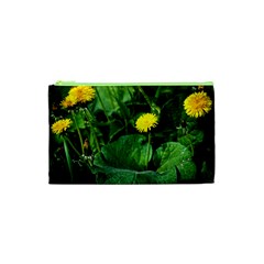 Yellow Dandelion Flowers In Spring Cosmetic Bag (xs) by FunnyCow