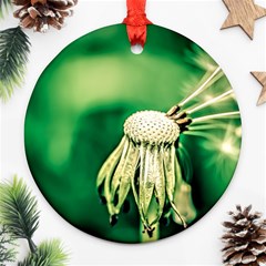 Dandelion Flower Green Chief Ornament (round) by FunnyCow