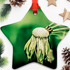 Dandelion Flower Green Chief Ornament (star) by FunnyCow