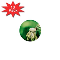 Dandelion Flower Green Chief 1  Mini Buttons (10 Pack)  by FunnyCow