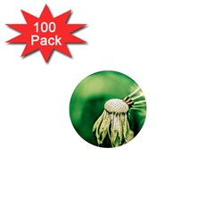 Dandelion Flower Green Chief 1  Mini Magnets (100 Pack)  by FunnyCow