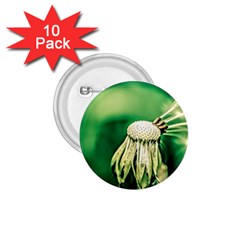 Dandelion Flower Green Chief 1 75  Buttons (10 Pack) by FunnyCow