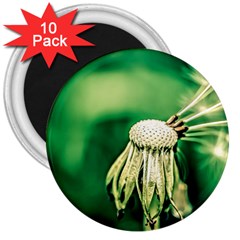 Dandelion Flower Green Chief 3  Magnets (10 Pack)  by FunnyCow