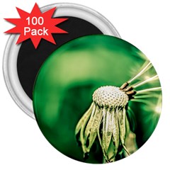 Dandelion Flower Green Chief 3  Magnets (100 Pack) by FunnyCow