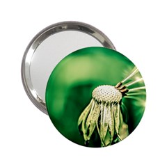 Dandelion Flower Green Chief 2 25  Handbag Mirrors by FunnyCow