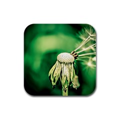 Dandelion Flower Green Chief Rubber Square Coaster (4 Pack)  by FunnyCow